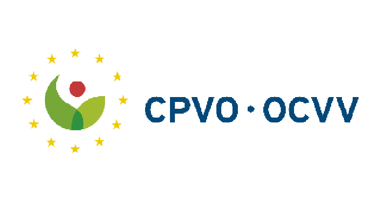 logo_ocvv