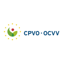 logo_ocvv